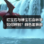 红宝石与绿宝石喜林芋如何辨别?颜色差异是关键(图3) 红宝石与绿宝石喜林芋如何辨别?颜色差异是关键(图3)