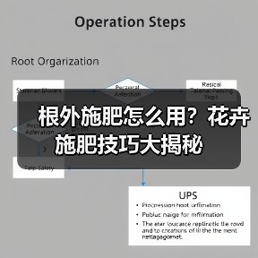 根外施肥怎么用?花卉施肥技巧大揭秘(图2) 根外施肥怎么用?花卉施肥技巧大揭秘(图2)