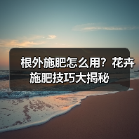 根外施肥怎么用?花卉施肥技巧大揭秘(图1) 根外施肥怎么用?花卉施肥技巧大揭秘(图1)
