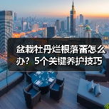 盆栽牡丹烂根落蕾怎么办？5个关键养护技巧（图3）