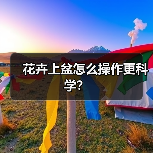 花卉上盆怎么操作更科学?(图4) 花卉上盆怎么操作更科学?(图4)