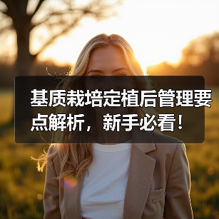 基质栽培定植后管理要点解析,新手必看!(图1) 基质栽培定植后管理要点解析,新手必看!(图1)