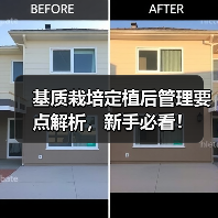 基质栽培定植后管理要点解析,新手必看!(图3) 基质栽培定植后管理要点解析,新手必看!(图3)