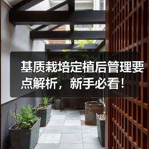 基质栽培定植后管理要点解析,新手必看!(图4) 基质栽培定植后管理要点解析,新手必看!(图4)