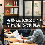 鸡冠花徒长怎么办？科学养护技巧帮你解决