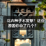 花卉种子不发芽？这些原因你中了几个？（图1）