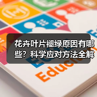 花卉叶片褪绿原因有哪些？科学应对方法全解析（图1）