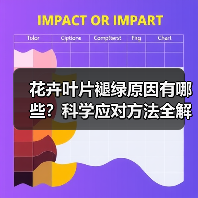 花卉叶片褪绿原因有哪些？科学应对方法全解析（图4）