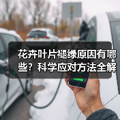 花卉叶片褪绿原因有哪些？科学应对方法全解析（图3）