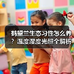 鹤望兰生态习性怎么养?温度湿度光照全解析(图1) 鹤望兰生态习性怎么养?温度湿度光照全解析(图1)