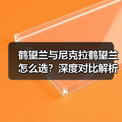 鹤望兰与尼克拉鹤望兰怎么选?深度对比解析(图2) 鹤望兰与尼克拉鹤望兰怎么选?深度对比解析(图2)