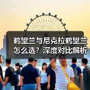 鹤望兰与尼克拉鹤望兰怎么选?深度对比解析(图3) 鹤望兰与尼克拉鹤望兰怎么选?深度对比解析(图3)