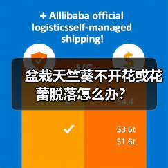 盆栽天竺葵不开花或花蕾脱落怎么办？（图3）