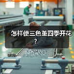 怎样使三色堇四季开花?(图3) 怎样使三色堇四季开花?(图3)