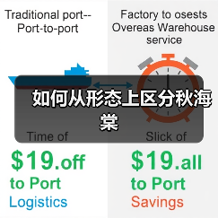 如何从形态上区分秋海棠(图4) 如何从形态上区分秋海棠(图4)