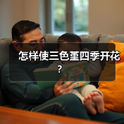 怎样使三色堇四季开花?(图4) 怎样使三色堇四季开花?(图4)