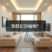 怎样识别榕树?(图2) 怎样识别榕树?(图2)