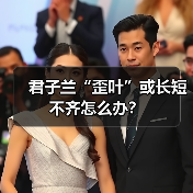 君子兰“歪叶”或长短不齐怎么办?(图2) 君子兰“歪叶”或长短不齐怎么办?(图2)