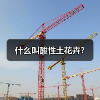 什么叫酸性土花卉?(图2) 什么叫酸性土花卉?(图2)