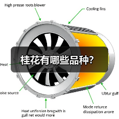 桂花有哪些品种?(图2) 桂花有哪些品种?(图2)