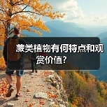 蕨类植物有何特点和观赏价值?(图4) 蕨类植物有何特点和观赏价值?(图4)