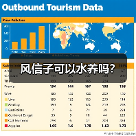 风信子可以水养吗？（图1）