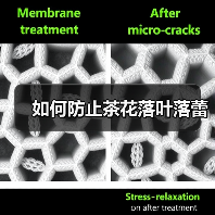 如何防止茶花落叶落蕾（图2）