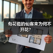 有花苞的仙客来为何不开花？（图1）