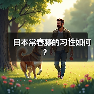 日本常春藤的习性如何？（图3）