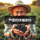 芦荟的详细资料(图2) 芦荟的详细资料(图2)