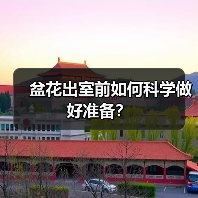 盆花出室前如何科学做好准备?(图2) 盆花出室前如何科学做好准备?(图2)