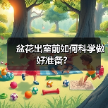 盆花出室前如何科学做好准备?(图4) 盆花出室前如何科学做好准备?(图4)