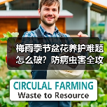梅雨季节盆花养护难题怎么破?防病虫害全攻略(图3) 梅雨季节盆花养护难题怎么破?防病虫害全攻略(图3)