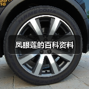 凤眼莲的百科资料(图1) 凤眼莲的百科资料(图1)