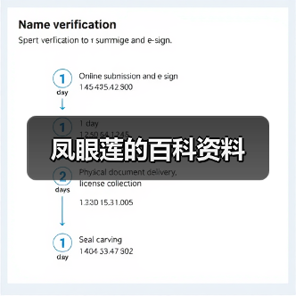凤眼莲的百科资料(图2) 凤眼莲的百科资料(图2)