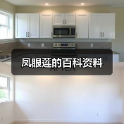 凤眼莲的百科资料(图4) 凤眼莲的百科资料(图4)