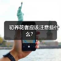 初养花者应该注意些什么？