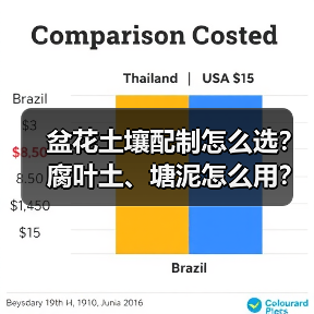 盆花土壤配制怎么选?腐叶土、塘泥怎么用?(图2) 盆花土壤配制怎么选?腐叶土、塘泥怎么用?(图2)