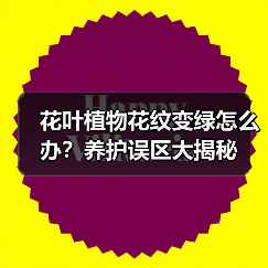 花叶植物花纹变绿怎么办？养护误区大揭秘
