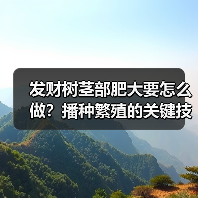 发财树茎部肥大要怎么做?播种繁殖的关键技巧(图2) 发财树茎部肥大要怎么做?播种繁殖的关键技巧(图2)