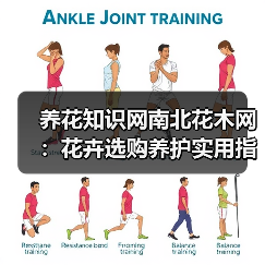 养花知识网南北花木网:花卉选购养护实用指南与解决方法(图1) 养花知识网南北花木网:花卉选购养护实用指南与解决方法(图1)