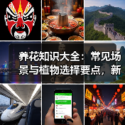 养花知识大全:常见场景与植物选择要点,新手必看技巧(图3) 养花知识大全:常见场景与植物选择要点,新手必看技巧(图3)