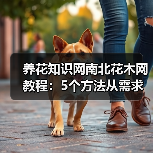 养花知识网南北花木网教程:5个方法从需求判断到维护,告别养花难(图4) 养花知识网南北花木网教程:5个方法从需求判断到维护,告别养花难(图4)