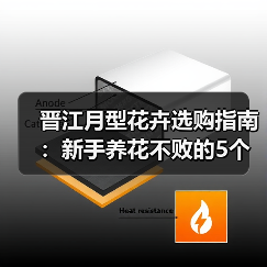 晋江月型花卉选购指南:新手养花不败的5个核心方法(图3) 晋江月型花卉选购指南:新手养花不败的5个核心方法(图3)