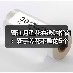 晋江月型花卉选购指南:新手养花不败的5个核心方法(图4) 晋江月型花卉选购指南:新手养花不败的5个核心方法(图4)