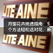 月型花卉挑选指南:5个方法轻松选对花,新手必看(图4) 月型花卉挑选指南:5个方法轻松选对花,新手必看(图4)