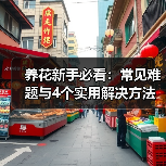 养花新手必看:常见难题与4个实用解决方法(图1) 养花新手必看:常见难题与4个实用解决方法(图1)