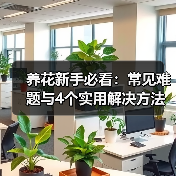 养花新手必看:常见难题与4个实用解决方法(图2) 养花新手必看:常见难题与4个实用解决方法(图2)